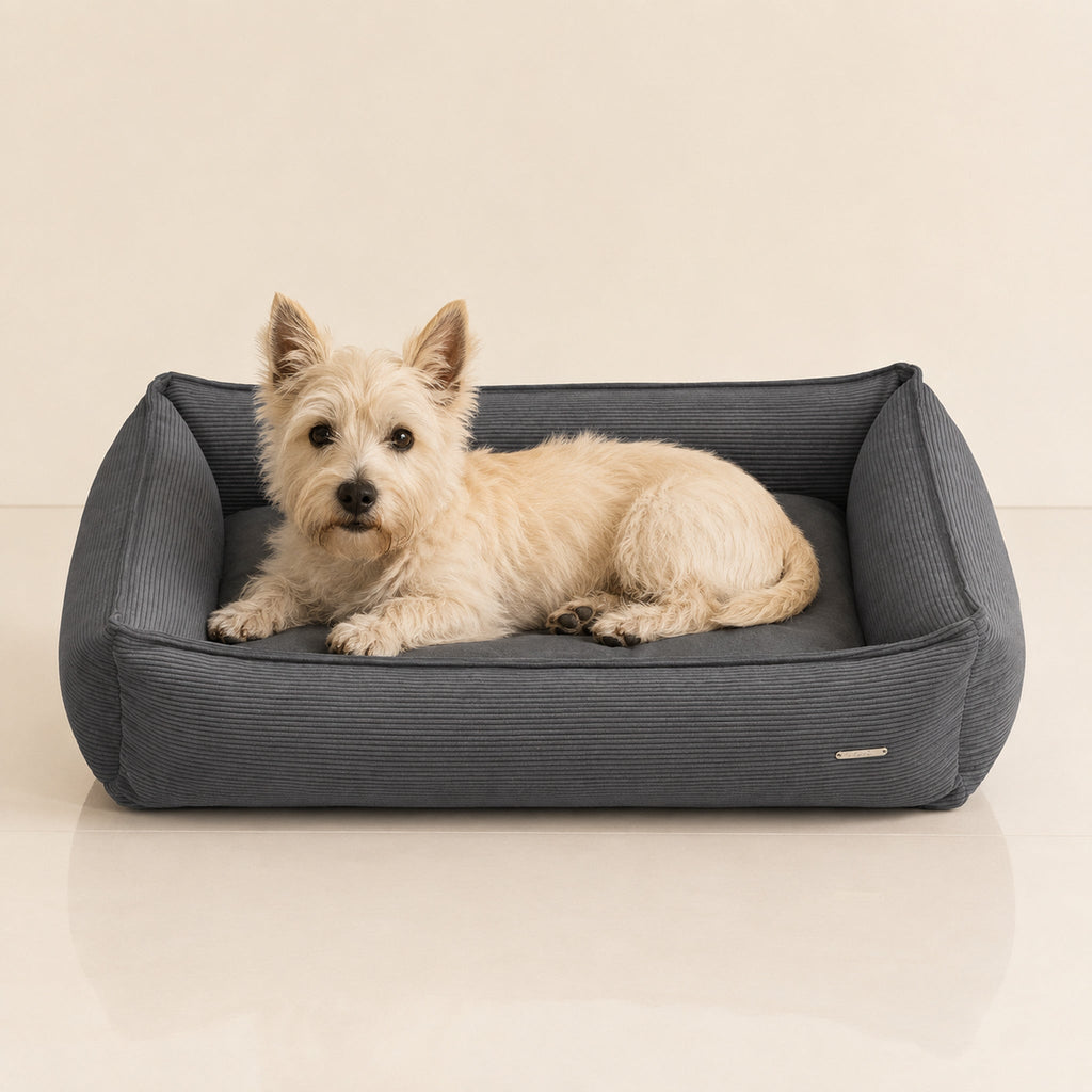Strippo Cord Hundebett Dunkelgrau mit Terrier – Premium Produktfoto 2048x2048