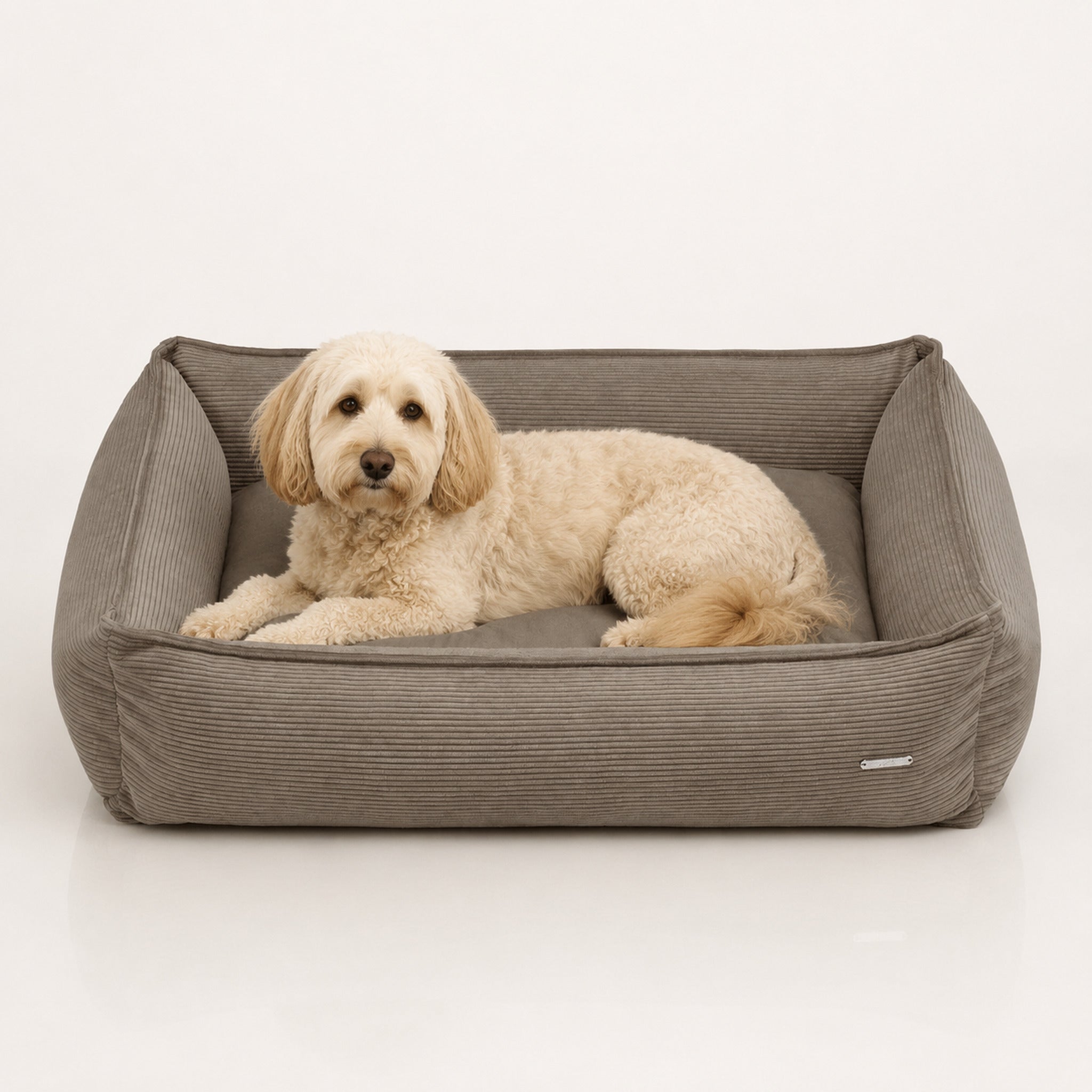 Strippo Cord Hundebett Mokka mit Hund – Premium Produktfoto