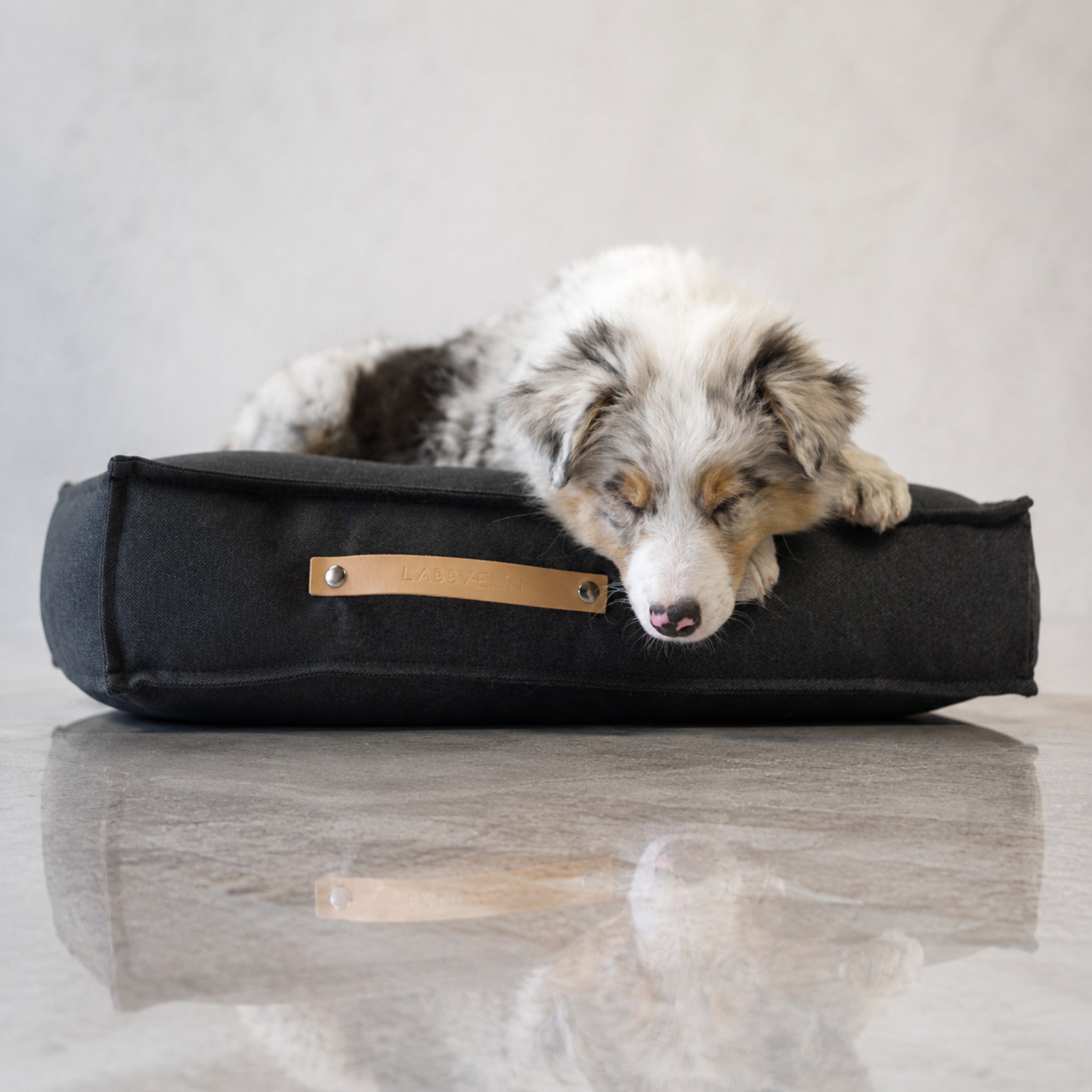Töve Hundekissen – Anthrazit – Premium Studioaufnahme auf reflektierendem Boden