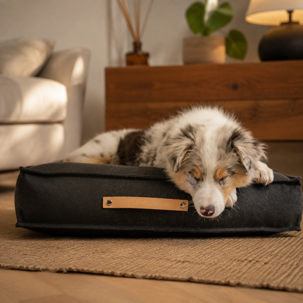 Töve Hundekissen – Anthrazit – Elegante Wohnszene mit Haustier