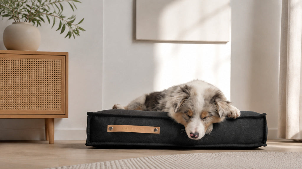 Töve Hundekissen – Anthrazit – Breite Premium-Wohnszene im Format 16:9