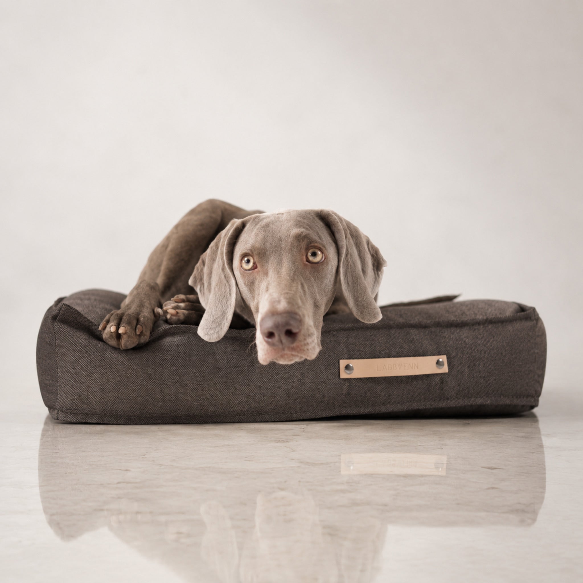 Töve Hundekissen – Braun – Premium Studioaufnahme auf reflektierendem Boden