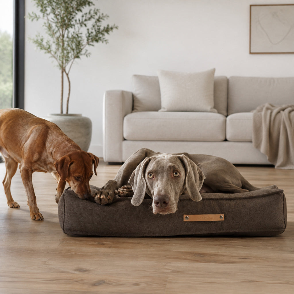 Töve Hundekissen – Braun – Stilvolle Wohnatmosphäre mit zwei Haustieren