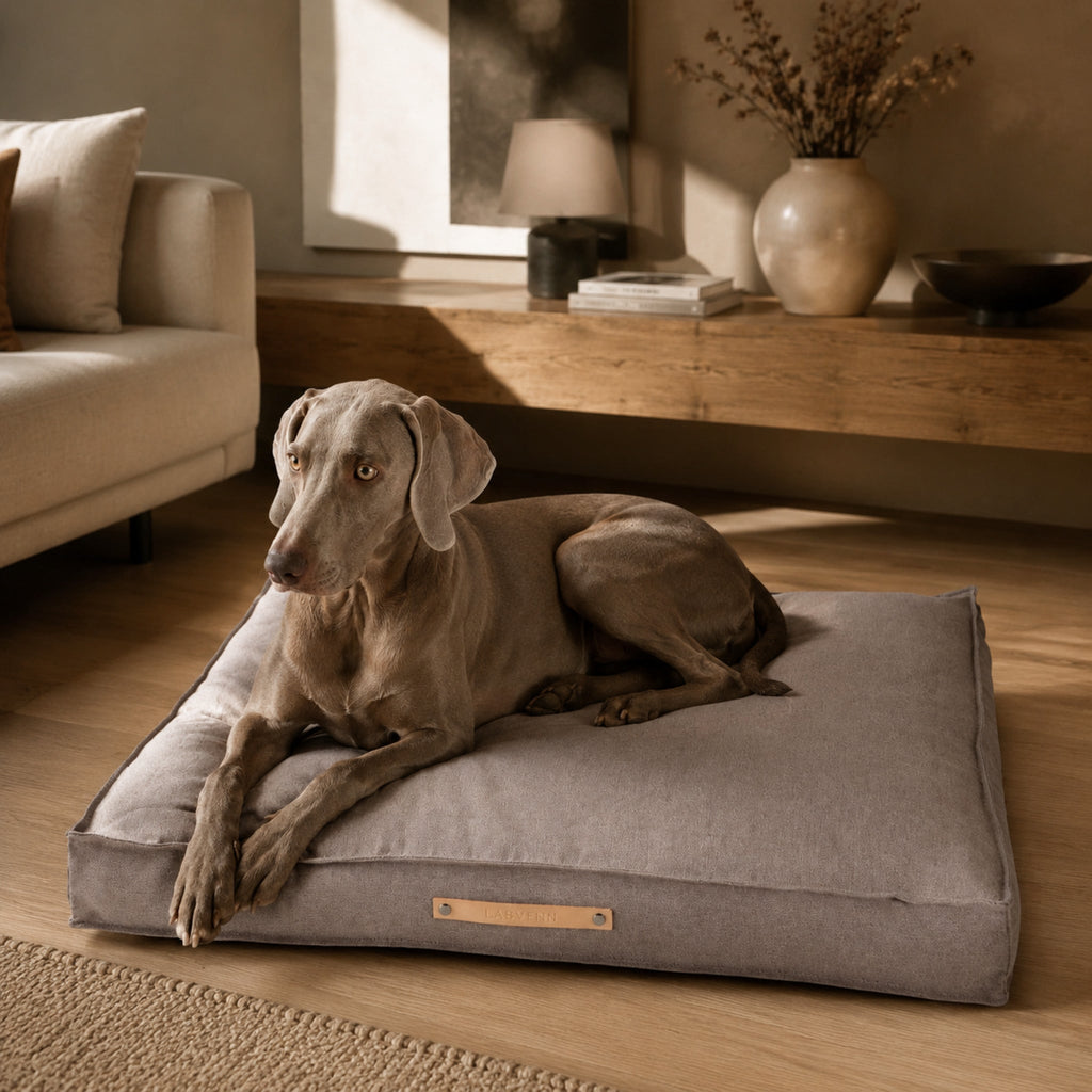 Töve Hundekissen – Nussbraun – Elegante Wohnszene mit Haustier
