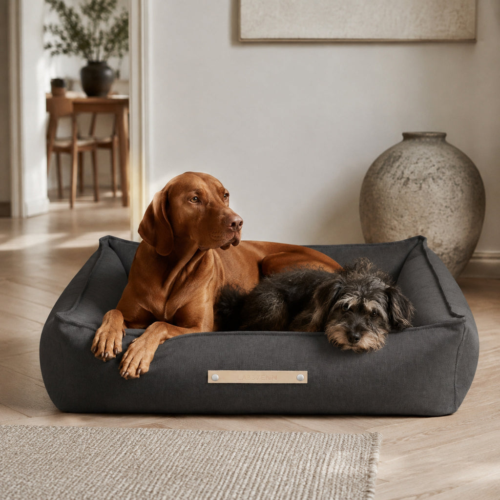 Töve Hundebett – Anthrazit – Stilvolle Wohnatmosphäre mit zwei Haustieren