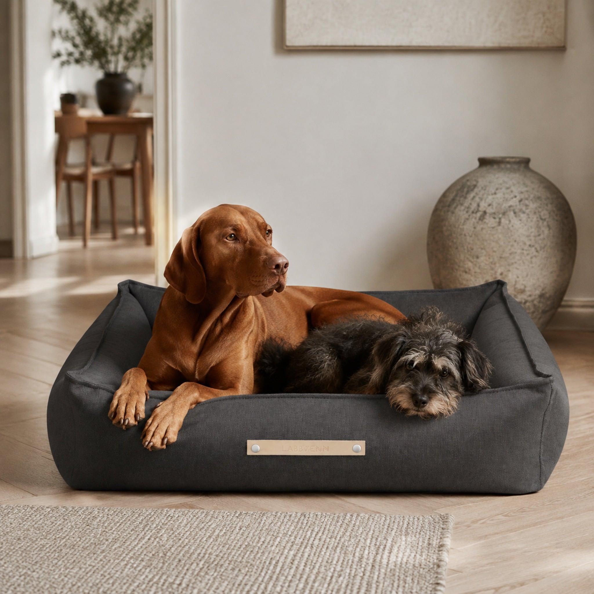 Töve Hundebett – Anthrazit – Stilvolle Wohnatmosphäre mit zwei Haustieren