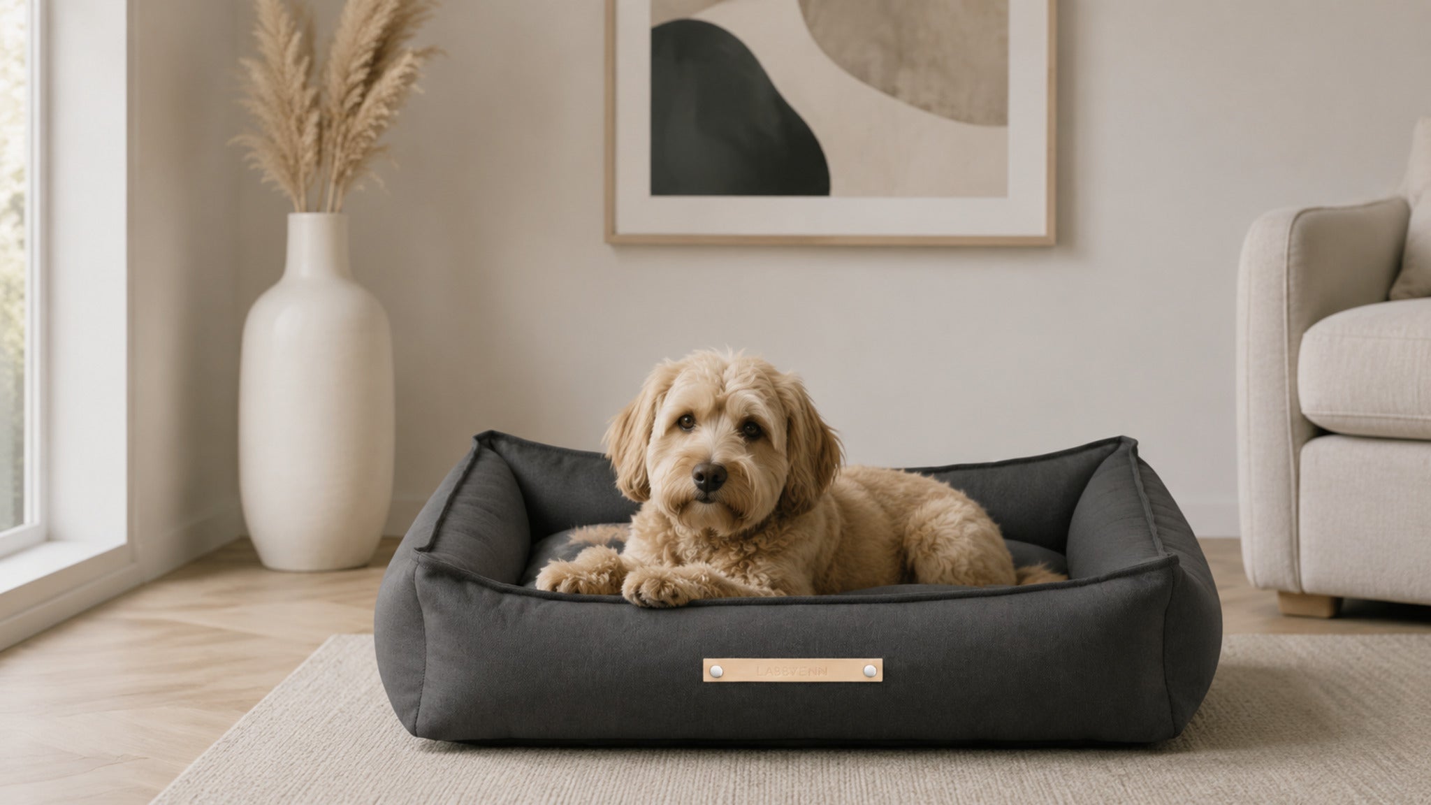 Töve Hundebett – Anthrazit – Breite Premium-Wohnszene im Format 16:9