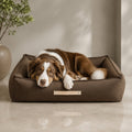 Töve Hundebett – Braun – Premium Studioaufnahme auf reflektierendem Boden