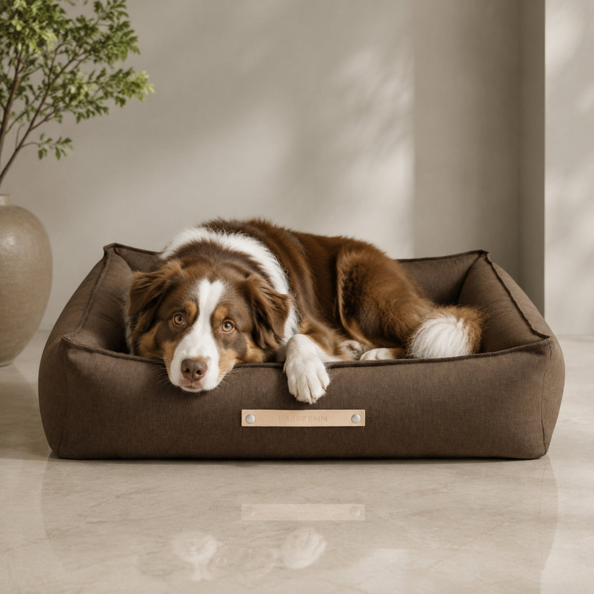 Töve Hundebett – Braun – Premium Studioaufnahme auf reflektierendem Boden