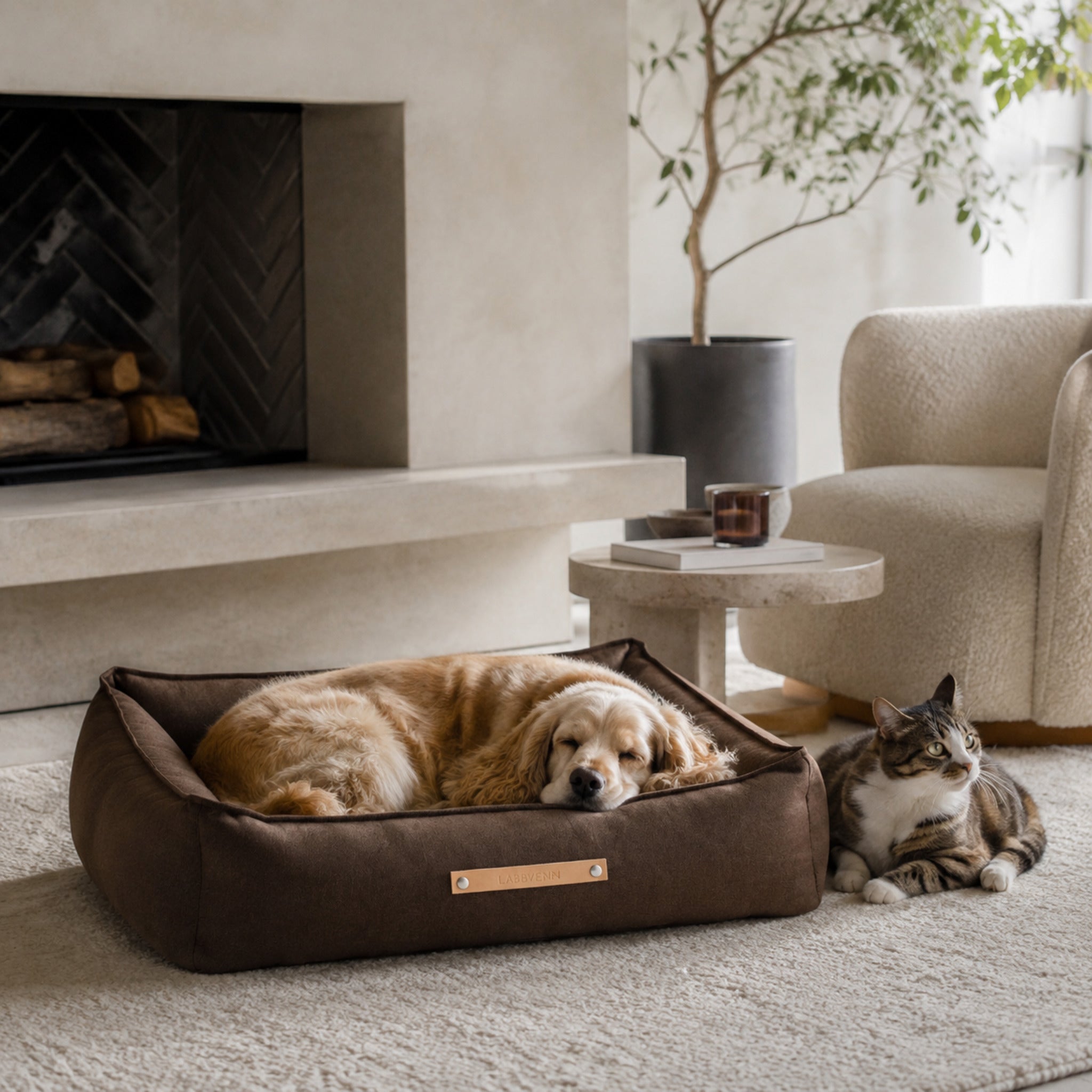Töve Hundebett – Braun – Stilvolle Wohnatmosphäre mit zwei Haustieren