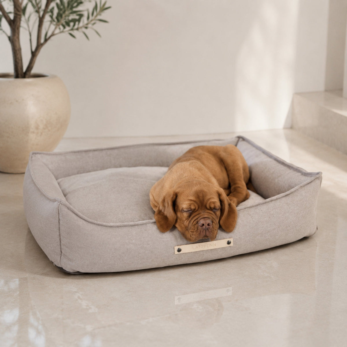 Töve Hundebett – Nussbraun – Premium Studioaufnahme auf reflektierendem Boden