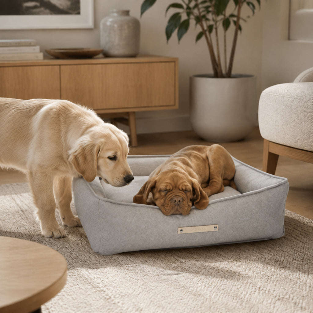 Töve Hundebett – Nussbraun – Stilvolle Wohnatmosphäre mit zwei Haustieren