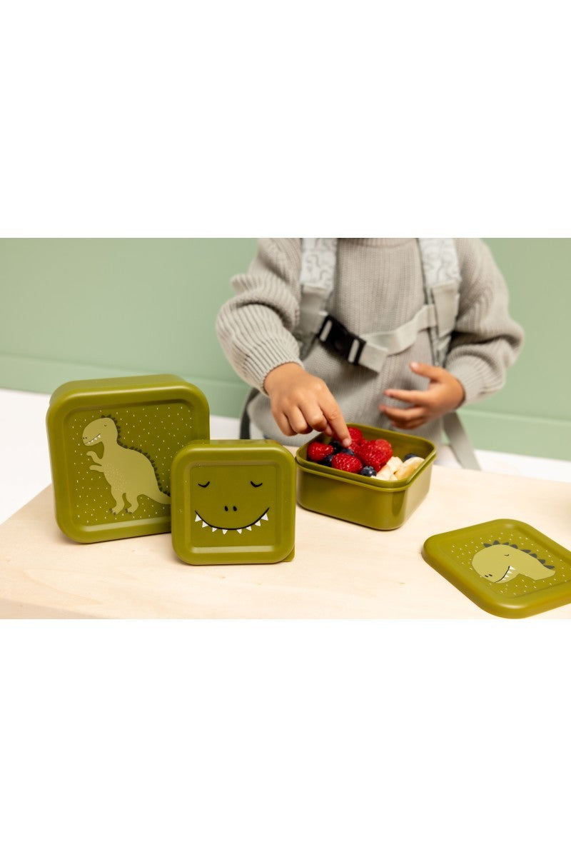 Trixie Snackboxen 3er-Set – Mr. Dino – Detailaufnahme