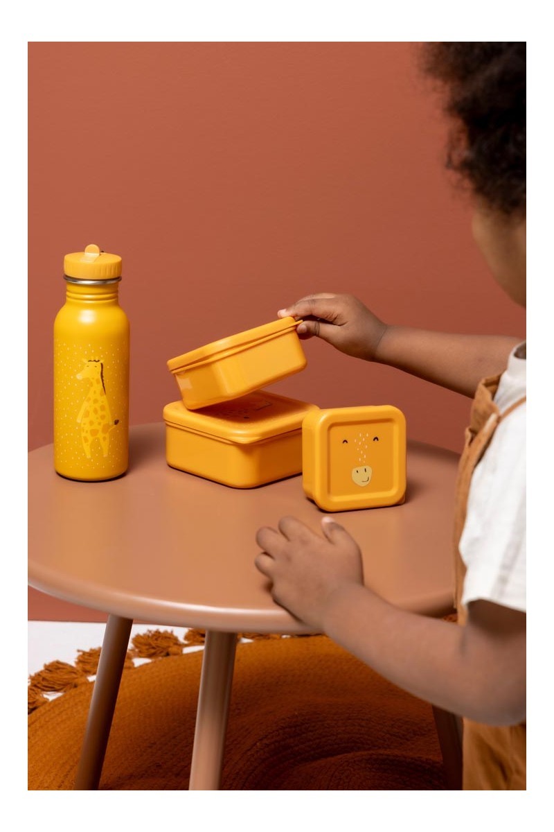 Snack Box with Clips – Spaceman Mr. Lion