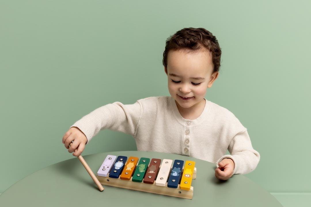 Trixie Xylophon aus Holz mit Tiermotiven – Produktansicht