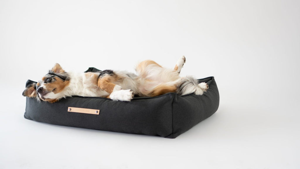 Töve Hundebett – Anthrazit – Ansicht 2